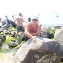 ���������� ��������, ���� ������� �������, 45 ���, ������������ ��� ������, ����� � ���������, c�������� ���������