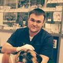 ���������� ������, ���� ������� �����, 40 ���, ������������ ��� ����� � ���������, c�������� ���������