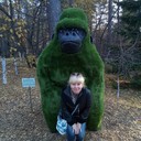 ���������� �����������, ���� ������� ���, 56 ���, ������������ ��� ����� � ���������, c�������� ���������