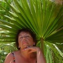  -,   , 65 ,  
