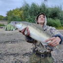 ���������� ����, ���� ������� ������, 43 ����, ������������ ��� ������, ����� � ���������, c�������� ���������