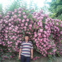 ���������� ������, ���� ������� Ikrom, 40 ���, ������������ ��� ������, ����� � ���������, c�������� ���������