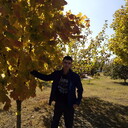 ���������� ������ �����, ���� ������� ����, 40 ���, ������������ ��� ����� � ���������, c�������� ���������