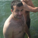  ,   Sikici, 36 ,   