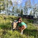 ���������� �����, ���� ������� ������, 45 ���, ������������ ��� ����� � ���������, c�������� ���������