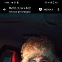 ���������� ����-���������, ���� ������� ������, 41 ���, ������������ ��� ����� � ���������, c�������� ���������