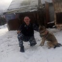  -,   Wolf, 41 ,   ,   , c 