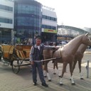 ���������� ������, ���� ������� �����, 41 ���, ������������ ��� ������, ����� � ���������, c�������� ���������