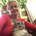 ���������� �����������, ���� ������� �����, 54 ����, ������������ ��� ����� � ���������, c�������� ���������