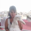 ���������� �������, ���� ������� ������ �����, 57 ���, ������������ ��� c�������� ���������