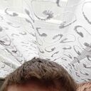 ���������� ��������, ���� ������� �������, 26 ���, ������������ ��� ������, ����� � ���������