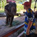 ���������� �������, ���� ������� ���, 36 ���, ������������ ��� ������, ����� � ���������, c�������� ���������