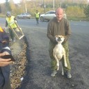 ���������� ������������, ���� ������� �����, 47 ���, ������������ ��� ����� � ���������, c�������� ���������, ���������