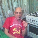  ,   Mrback, 54 ,   