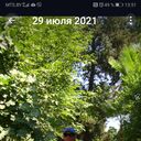  ,   , 62 ,   c 