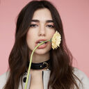 ���������� ������, ���� ������� ���� ���, 35 ���, ������������ ��� ������, ����� � ���������