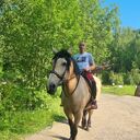 ���������� ������������, ���� ������� ����, 31 ���, ������������ ��� ������, ����� � ���������, c�������� ���������, ���������