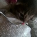  ,   , 48 ,   ,   , c 