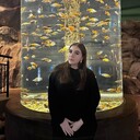 ���������� �����-���������, ���� ������� ��������, 21 ���, ������������ ��� ������, ����� � ���������