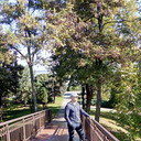  ,   , 51 ,   