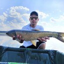 ���������� ������ ��������, ���� ������� ����, 33 ����, ������������ ��� ������, ����� � ���������, c�������� ���������, ���������