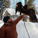 ���������� ���������, ���� ������� �������, 42 ����, ������������ ��� c�������� ���������, ���������