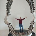 ���������� ������, ���� ������� ����, 49 ���, ������������ ��� ������, ����� � ���������