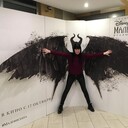 ���������� �����-���������, ���� ������� ����, 37 ���, ������������ ��� ����� � ���������, c�������� ���������