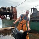 ���������� ����, ���� ������� ����, 47 ���, ������������ ��� ������, ����� � ���������