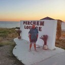  ,   VLADIMIR, 43 ,   ,   , c , 