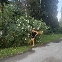  ,   , 54 ,   ,   