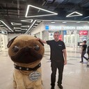 ���������� ������� ����, ���� ������� ������, 47 ���, ������������ ��� ������, ����� � ���������