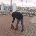  -,   , 36 ,   ,   