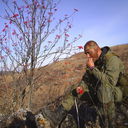 ���������� ������, ���� ������� ������, 54 ����, ������������ ��� ������