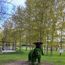 ���������� ������, ���� ������� ������, 45 ���, ������������ ��� ������, ����� � ���������