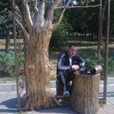 ���������� ���������, ���� ������� �������, 43 ����, ������������ ��� ������, ����� � ���������, c�������� ���������