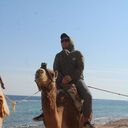 ���������� ����������, ���� ������� ����, 28 ���, ������������ ��� ������, ����� � ���������, c�������� ���������