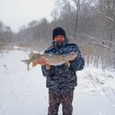 ���������� ������, ���� ������� ������, 57 ���, ������������ ��� c�������� ���������