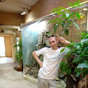 ���������� ������, ���� ������� ������, 50 ���, ������������ ��� ������