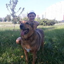 ���������� ������, ���� ������� ���������, 37 ���, ������������ ��� ������, ����� � ���������, c�������� ���������, ���������