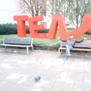 ���������� ����, ���� ������� Yurii, 40 ���, ������������ ��� ������, ����� � ���������, c�������� ���������