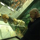 ���������� ������, ���� ������� �������, 51 ���, ������������ ��� ������, ����� � ���������, c�������� ���������