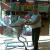  ,   Andrei, 65 ,   ,   , c 