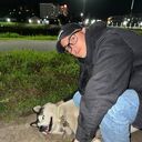 ���������� �������, ���� ������� �������, 27 ���, ������������ ��� ������, ����� � ���������, c�������� ���������, ���������