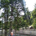  ,   Konstantine, 41 ,   ,   