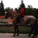 ���������� �������, ���� ������� ��������, 27 ���, ������������ ��� ������, ����� � ���������, c�������� ���������