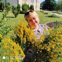  ,   , 55 ,  