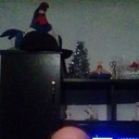  ,   , 51 ,  
