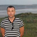  ,   German, 41 ,   