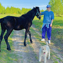 ���������� ������, ���� ������� Denni, 33 ����, ������������ ��� ������, ����� � ���������